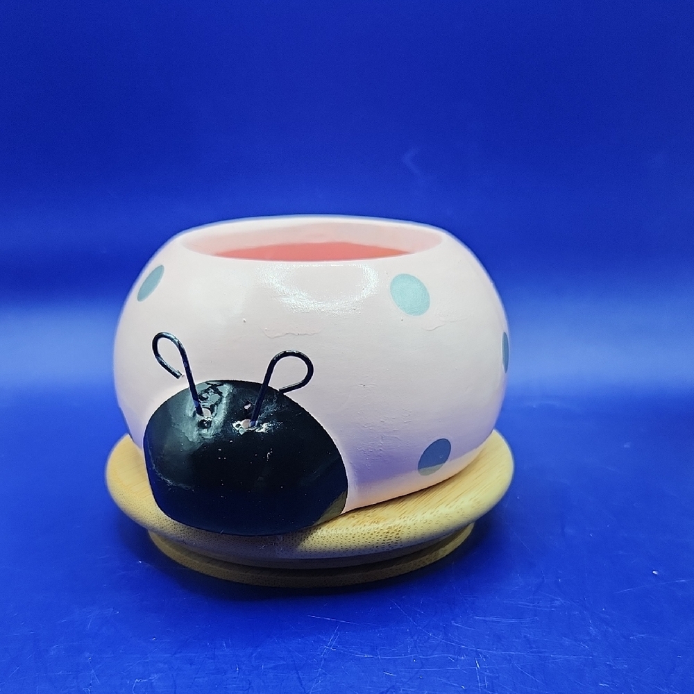 Rocket Farms Love Bug Pink Ladybug Ceramic Planter